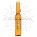 MESOESTETIC Meliloto and Rutin Extract (целлюлит, отёки), 2 мл MESOESTETIC Meliloto and Rutin Extract (целлюлит, отёки), 2 мл