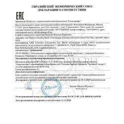 Декларация соответствия GIGI