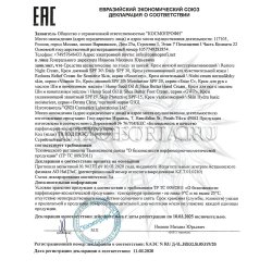 Декларация соответствия GIGI