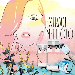 Экстракт Мелилото (Extract Meliloto)