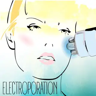 Электропорация что это такое