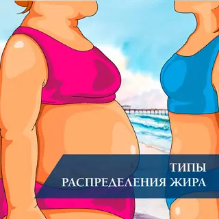 Типы распределения жира