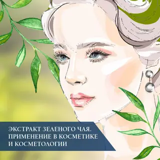 Экстракт зеленого чая. Применение в косметике и косметологии