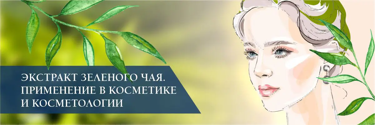 Экстракт зеленого чая. Применение в косметике и косметологии Экстракт зеленого чая. Применение в косметике и косметологии