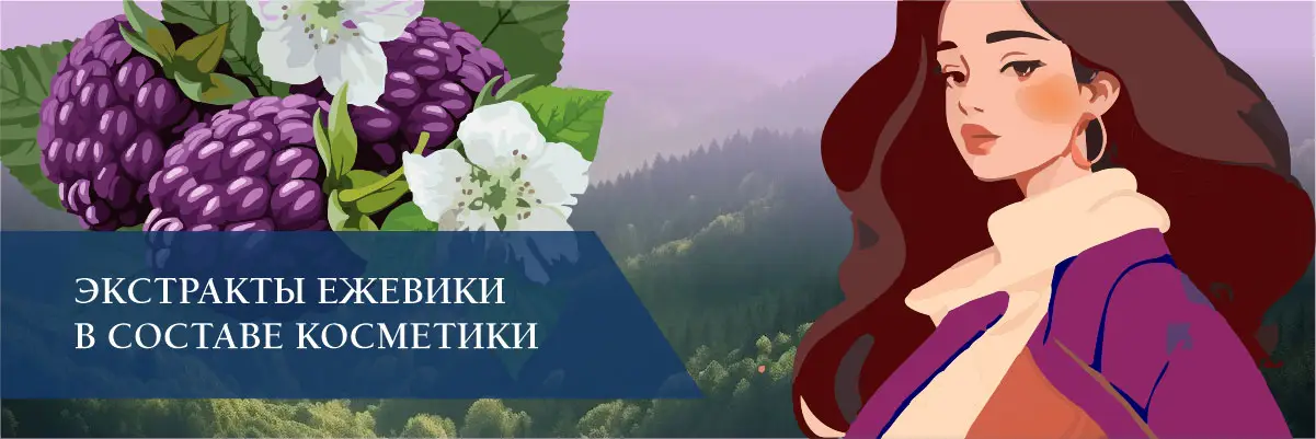 Экстракты ежевики в составе косметики Экстракты ежевики в составе косметики