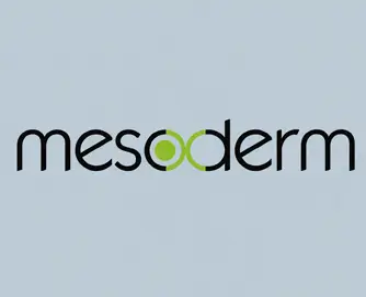 MESODERM