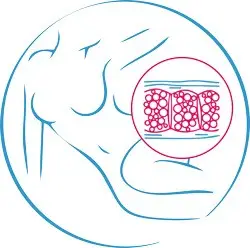 Наборы для тела