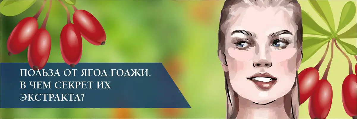 Польза от ягод годжи. В чем секрет их экстракта?