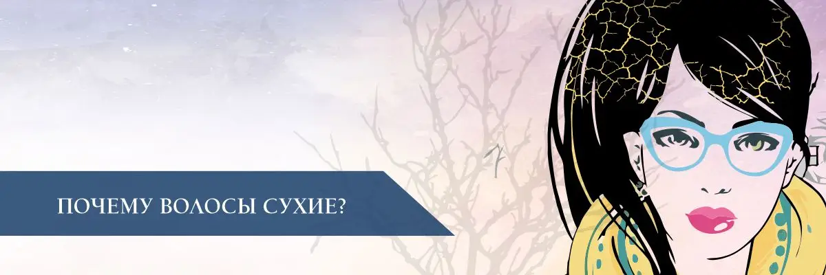 Почему волосы сухие Почему волосы сухие