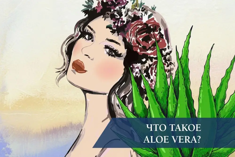 Что такое ALOE VERA?